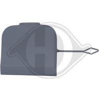 DIEDERICHS 7005066 - Tapa, gancho de arrastre