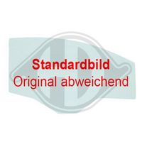 DIEDERICHS 8461966 - Luna de puerta