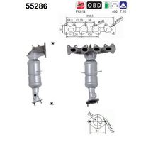AS 55286 - Catalizador