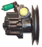 LIZARTE 041102704 - Bomba hidráulica, dirección