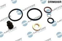 LIZARTE DRM006R - Kit de reparación, unidad bomba-inyector