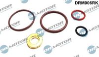 LIZARTE DRM006RK - Kit de reparación, unidad bomba-inyector