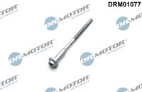LIZARTE DRM01077 - Tornillo, soporte inyector