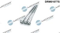 LIZARTE DRM01077S - Tornillo, soporte inyector