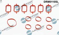 LIZARTE DRM0110SL - Juego de juntas, colector de admisión