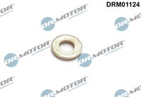 LIZARTE DRM01124 - Junta tórica, inyector