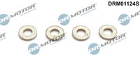 LIZARTE DRM01124S - Juego de juntas, inyector