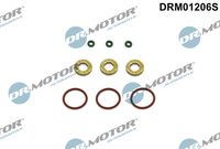 LIZARTE DRM01206S - Juego de juntas, inyector