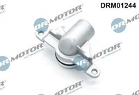 LIZARTE DRM01244 - Válvula, ventilación del cárter