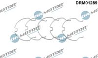 LIZARTE DRM01289 - Estribo de sujeción, turbocompresor