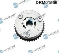 LIZARTE DRM01556 - Ajustador árbol de levas