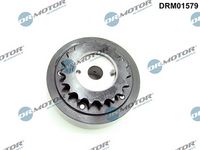 LIZARTE DRM01579 - Ajustador árbol de levas