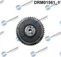 LIZARTE DRM01561 - Ajustador árbol de levas