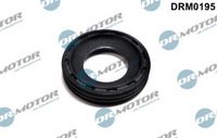 LIZARTE DRM0195 - Junta, portainyector