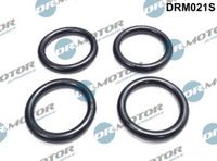LIZARTE DRM021S - Junta, colector de admisión