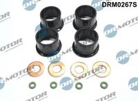 LIZARTE DRM0267S - Juego de juntas, inyector