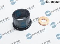 LIZARTE DRM0269 - Juego de juntas, inyector