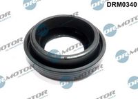 LIZARTE DRM0340 - Junta, portainyector