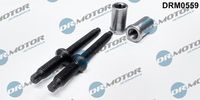 LIZARTE DRM0559 - Tornillo, soporte inyector