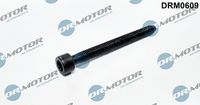 LIZARTE DRM0609 - Tornillo, soporte inyector