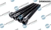 LIZARTE DRM0609S - Tornillo de ajuste, bomba inyección