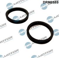 LIZARTE DRM058S - Juego de juntas, radiador de aceite