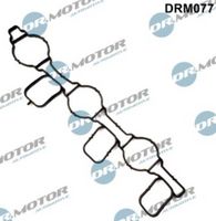 LIZARTE DRM077 - Junta, colector de admisión