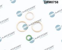 LIZARTE DRM0758 - Junta, entrada aceite (turbocompresor)