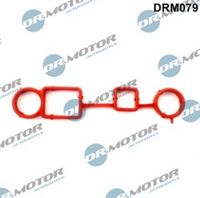 LIZARTE DRM079 - Junta, ventilación del cárter