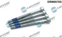 LIZARTE DRM0878S - Tornillo, soporte inyector