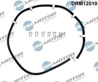 LIZARTE DRM12010 - Tubo flexible, combustible de fuga