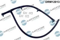LIZARTE DRM12013 - Tubo flexible, combustible de fuga
