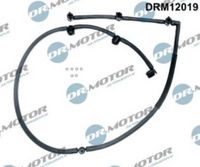 LIZARTE DRM12019 - Tubo flexible, combustible de fuga