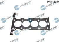 LIZARTE DRM15224 - Junta, culata