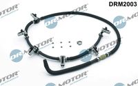 LIZARTE DRM2003 - Tubo flexible, combustible de fuga