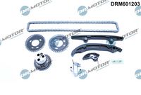 LIZARTE DRM601203 - Juego de cadena de distribución