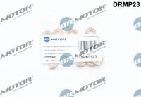 LIZARTE DRMP23 - Juego de juntas, inyector