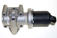 LIZARTE EGR001 - Válvula EGR
