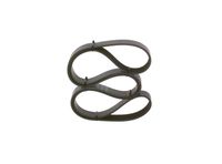 BOSCH 1987947983 - Correa trapecial poli V