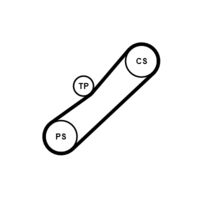 CONTINENTAL CTAM 4PK905K1 - Juego de correas trapeciales poli V