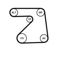 CONTINENTAL CTAM 5PK1334K1 - Juego de correas trapeciales poli V