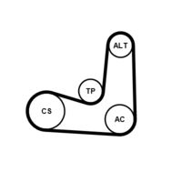 CONTINENTAL CTAM 6PK1070K5 - Juego de correas trapeciales poli V