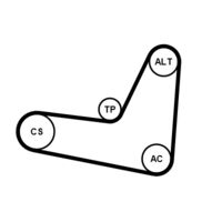 CONTINENTAL CTAM 6PK1130K3 - Juego de correas trapeciales poli V