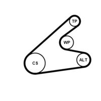 CONTINENTAL CTAM 6PK1306K2 - Juego de correas trapeciales poli V