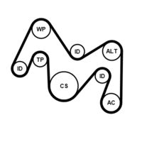 CONTINENTAL CTAM 6PK1934K1 - Juego de correas trapeciales poli V