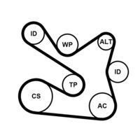 CONTINENTAL CTAM 7PK1605K1 - Juego de correas trapeciales poli V