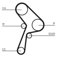 CONTINENTAL CTAM CT609 - Correa dentada
