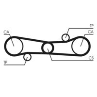 CONTINENTAL CTAM CT654 - Correa dentada