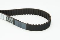 CONTINENTAL CTAM CT748 - Correa dentada