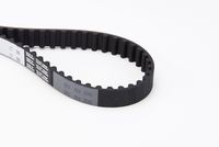 CONTINENTAL CTAM CT988 - Correa dentada